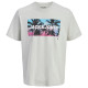 Jack & Jones Ανδρική κοντομάνικη μπλούζα Indiana Crew Neck T-Shirt